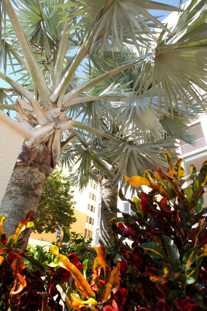 ftmyerslandscaping (2 of 57) Parsons Landscaping