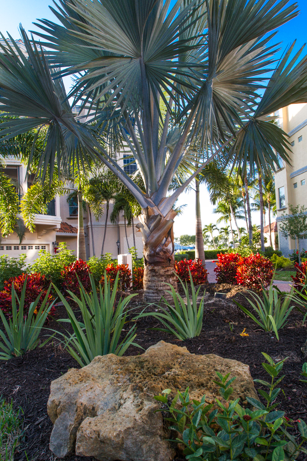 Landscaping Fort Myers - Parsons Landscaping